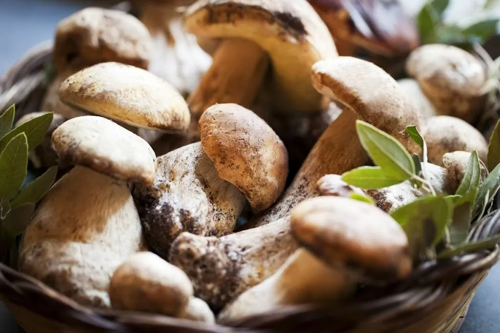 La Vecchia Botte_Ragalna_slider_image_3