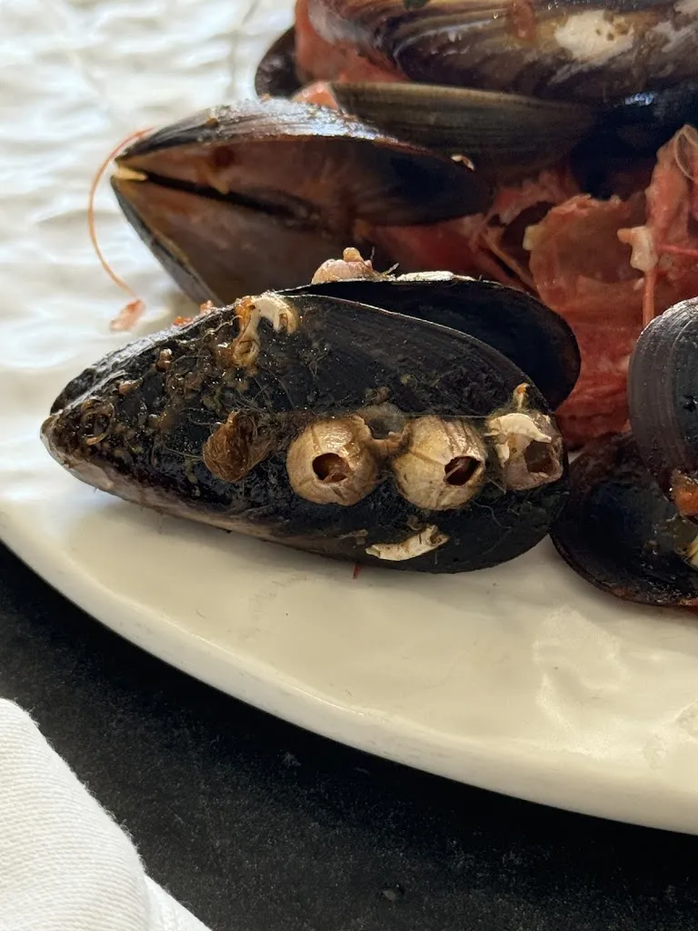 Marcin Janiec_Ristorante Coltello & Forchetta di Sergio Stagno_Porto Empedocle_review