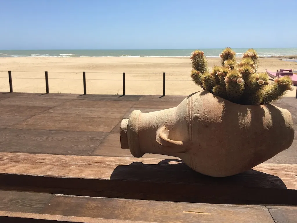 Jiaxin Wang_Ristorante Kenia di Chiona Antonella_Porto Empedocle_review