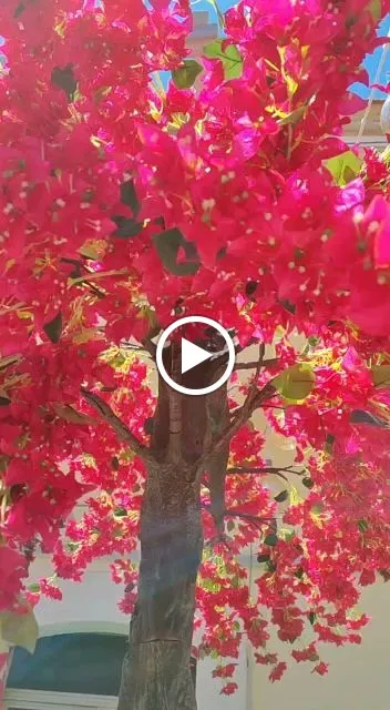 Opus Art Event_Lesina_slider_image_2