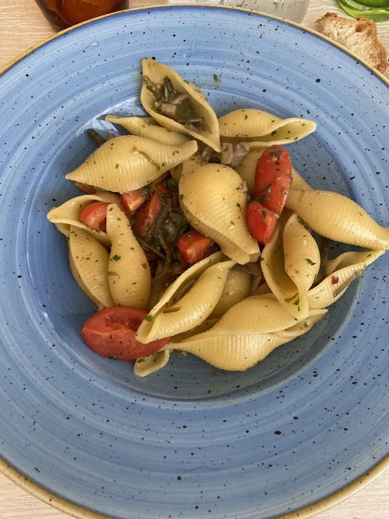 Veronika Reichenberger_Bisboccia_Lesina_review