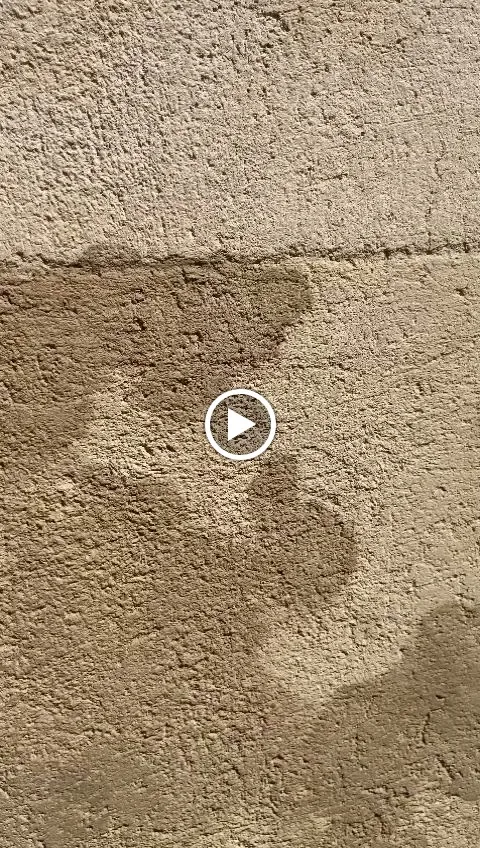 Profumi e Sapori Bar Pranzo Cena pasta 🍝 e Aperitivi_Provincia di Siracusa_slider_image_2