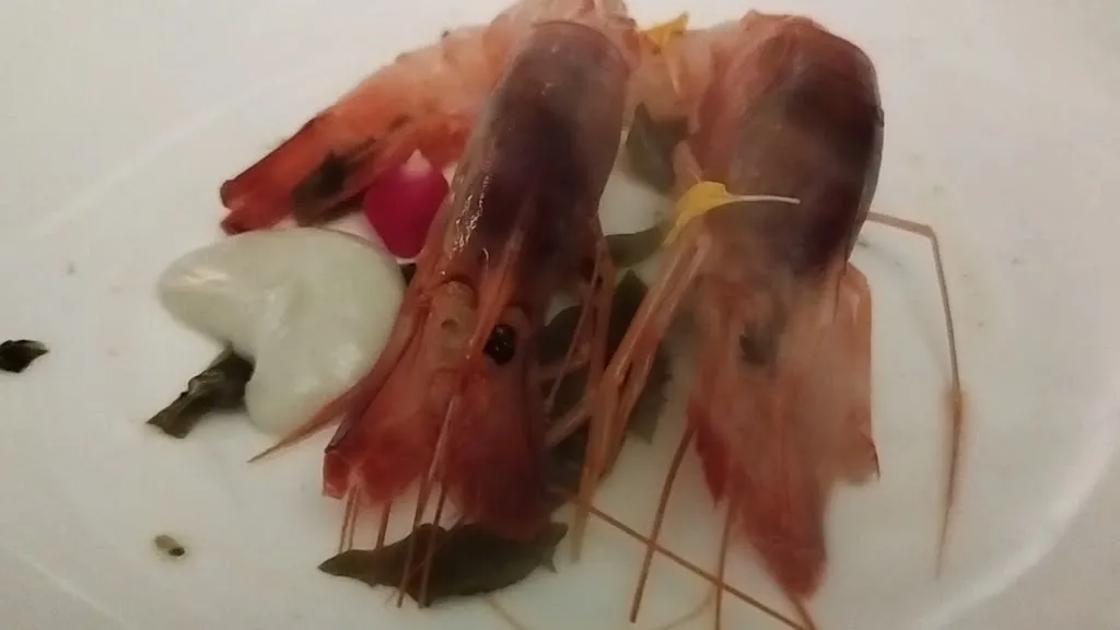 Ristorante Don Camillo - Ortigia - Siracusa_Provincia di Siracusa_slider_image_2