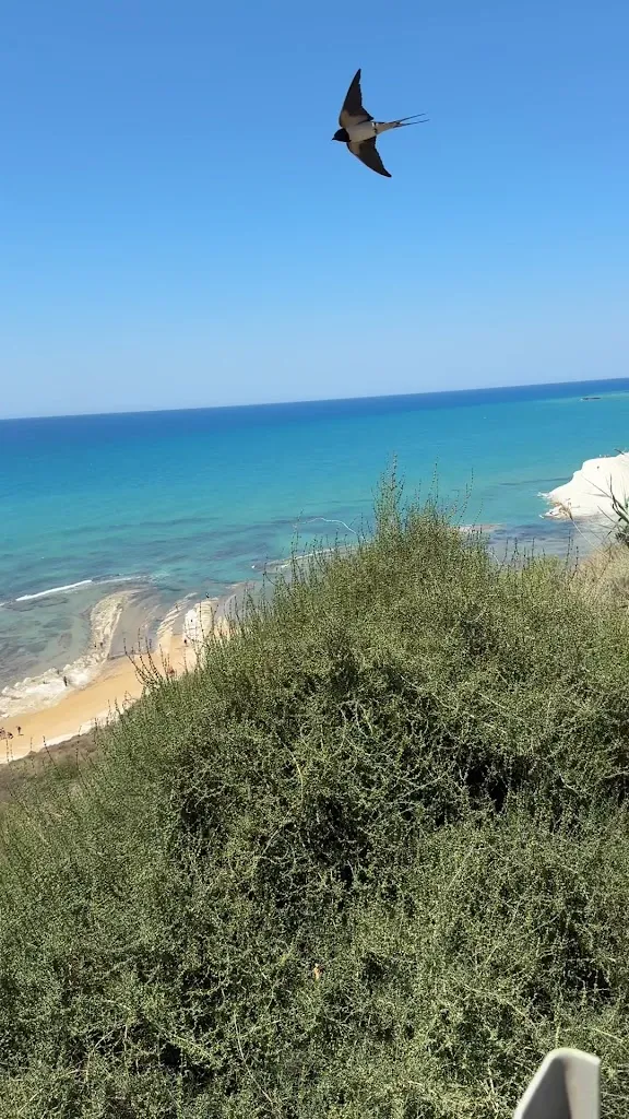 JINHOON BAE_Lido Majata_Realmonte_review