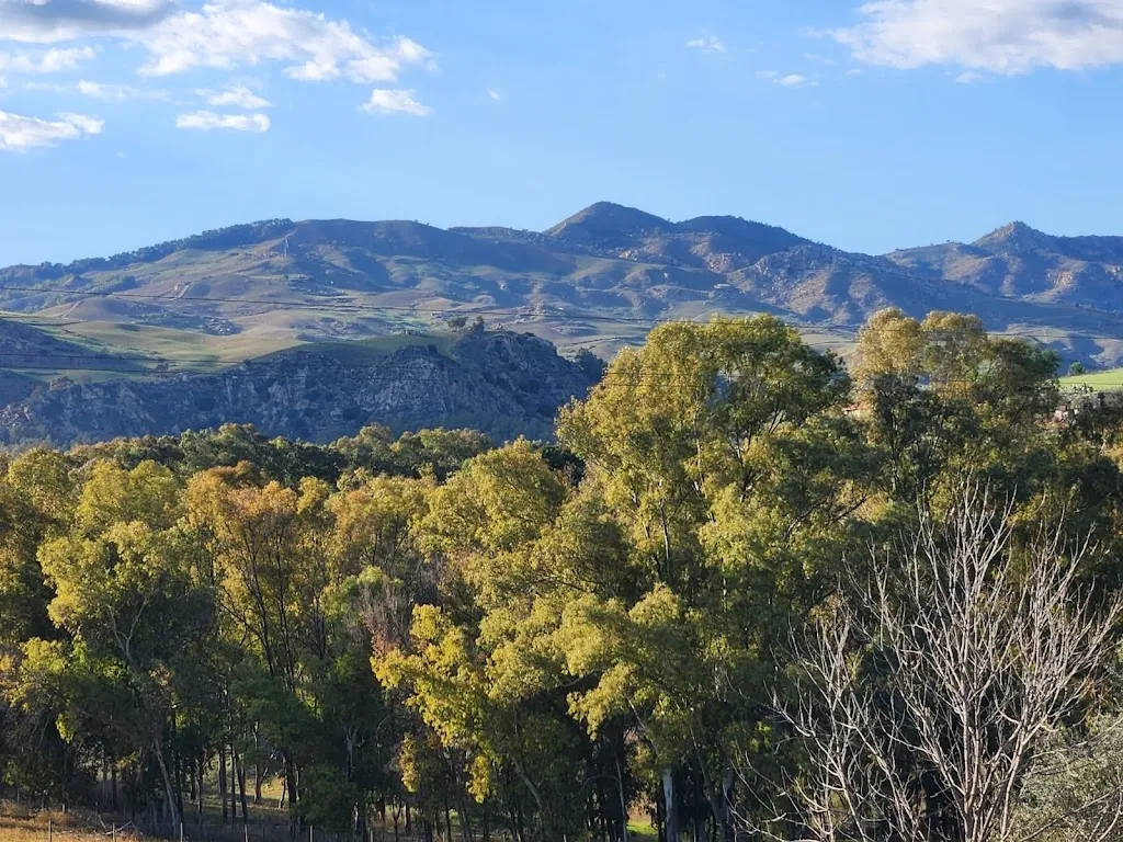 Bruce Pennington_La Dolce Vita Regalbuto_Regalbuto_review