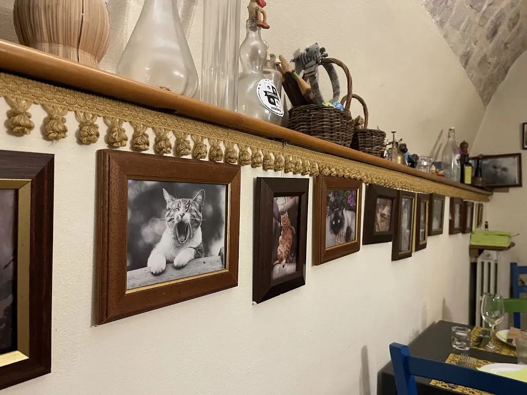 Javier Garcia_Quattro Gatti_Ragusa_review