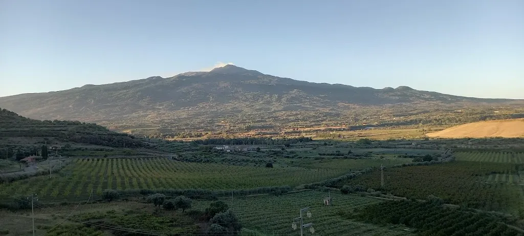 Tone Bender_Etna Valley Farm_Roccella Valdemone_review