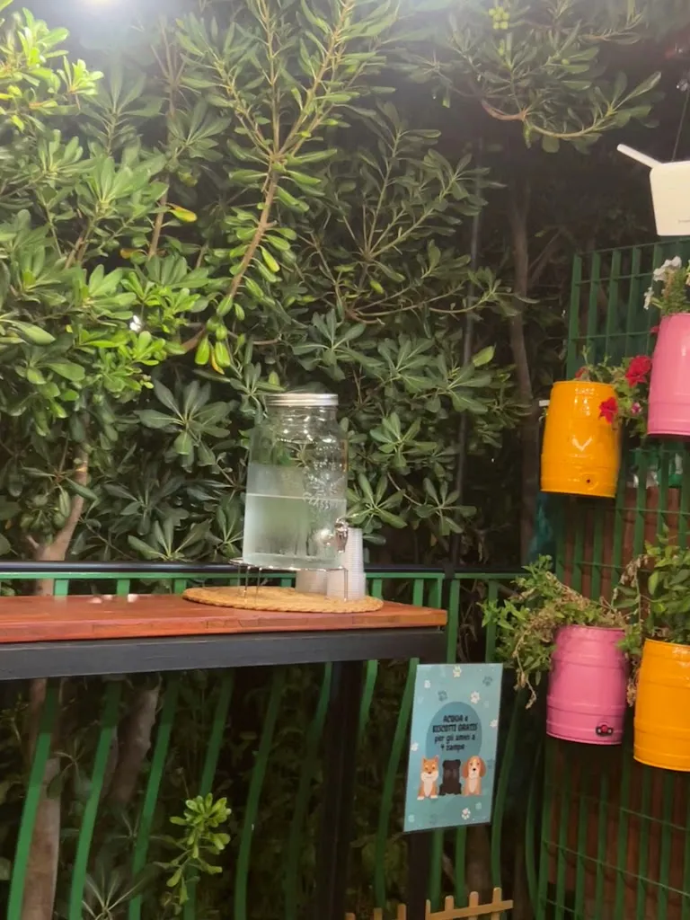 gianbruno albano_Panini & Piattini Nino Arrigo_Roccavaldina_review