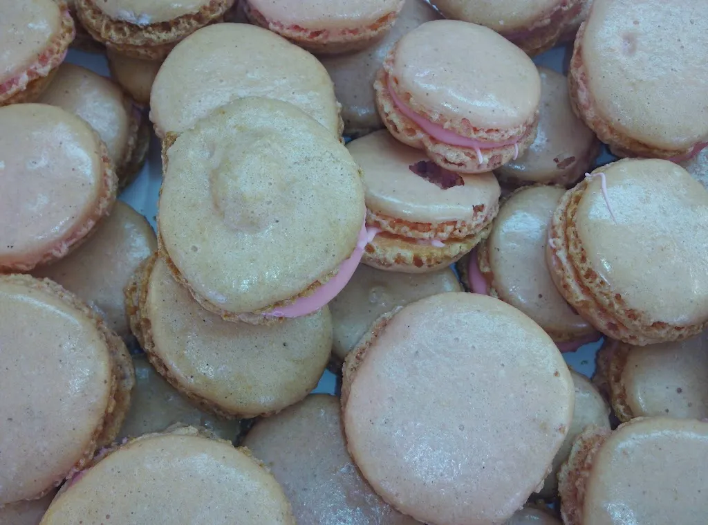 Menu_Panificio Zingales Rocca di Capri Leone_Rocca di Capri Leone_image_5