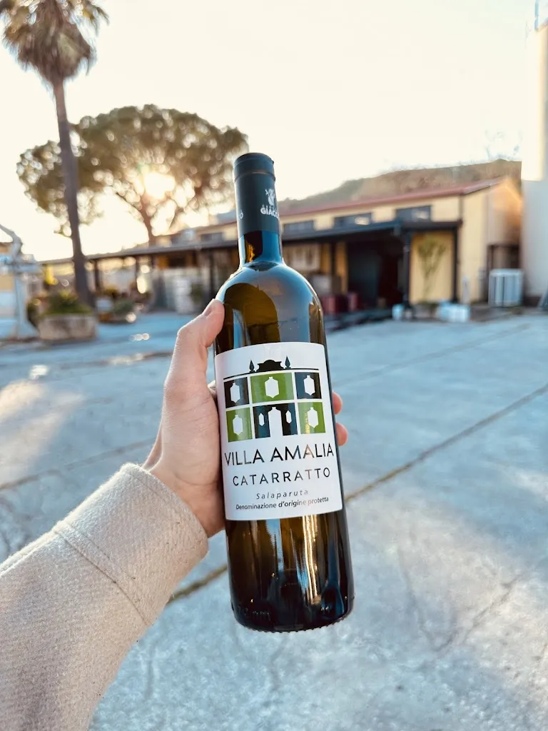 Ken-Tristan Peterson_Cantina Giacco_Salaparuta_review