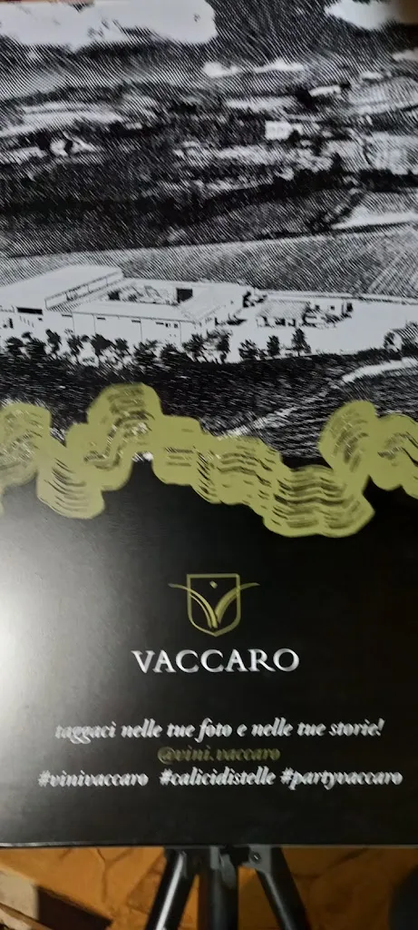 Salvatore Biondo_Vini Vaccaro_Salaparuta_review