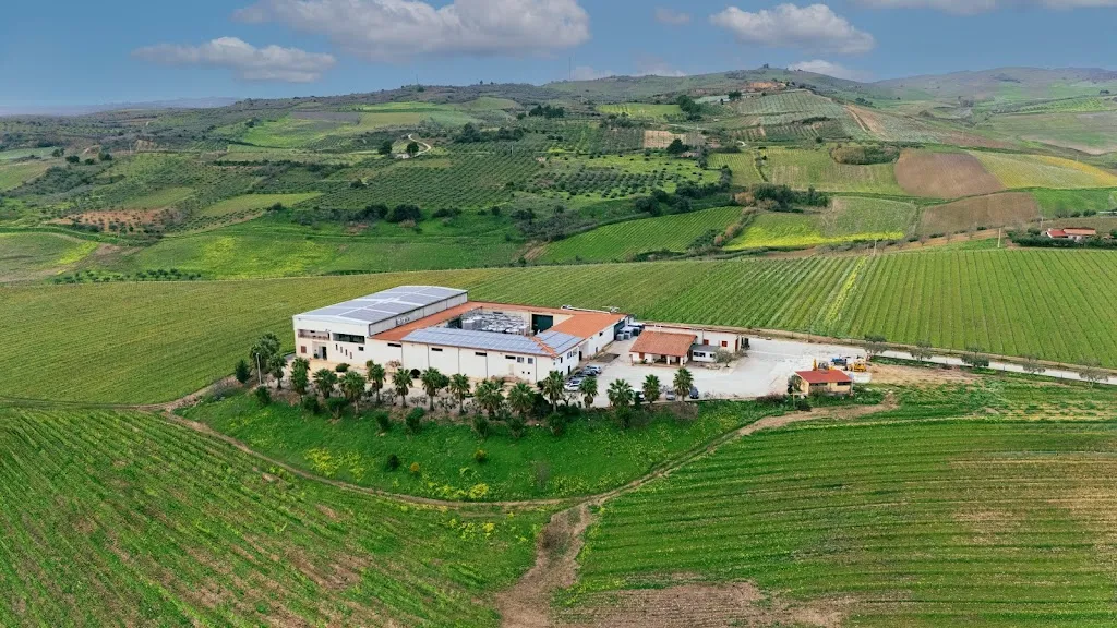 Vini Vaccaro_Salaparuta_slider_image_1