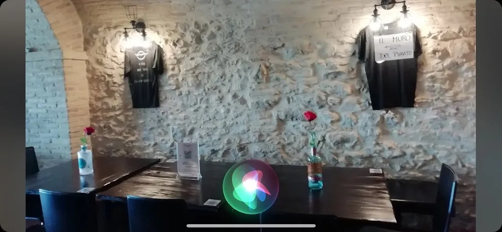 daniele enio silveri_4 VOLTE CAFFÈ_Arielli_review