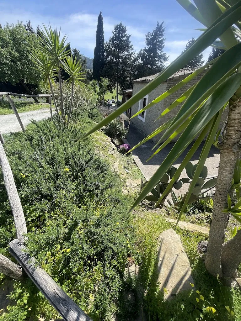 Patrizia Bollinetti_Big Mountain Farm_Salemi_review