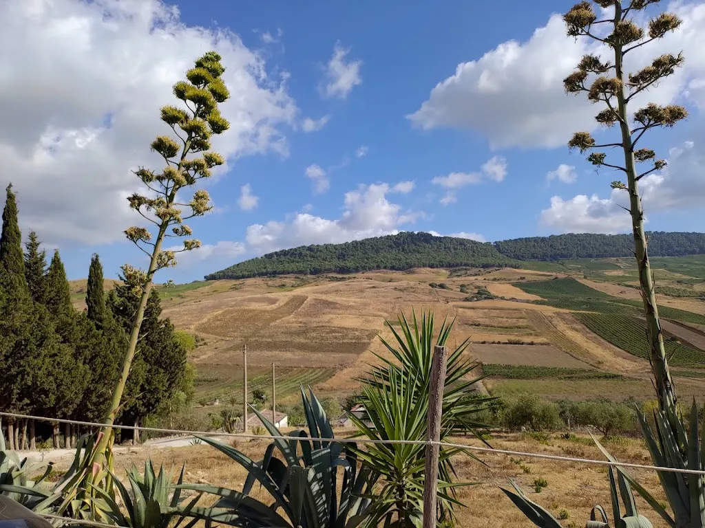 Big Mountain Farm_Salemi_slider_image_3