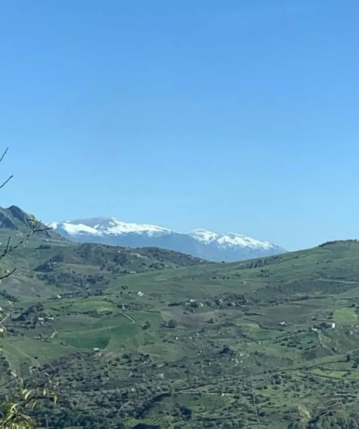 Daniel Zongrone_Pizzeria Desiderio di Giambalvo Sebastian_Sambuca di Sicilia_recensione