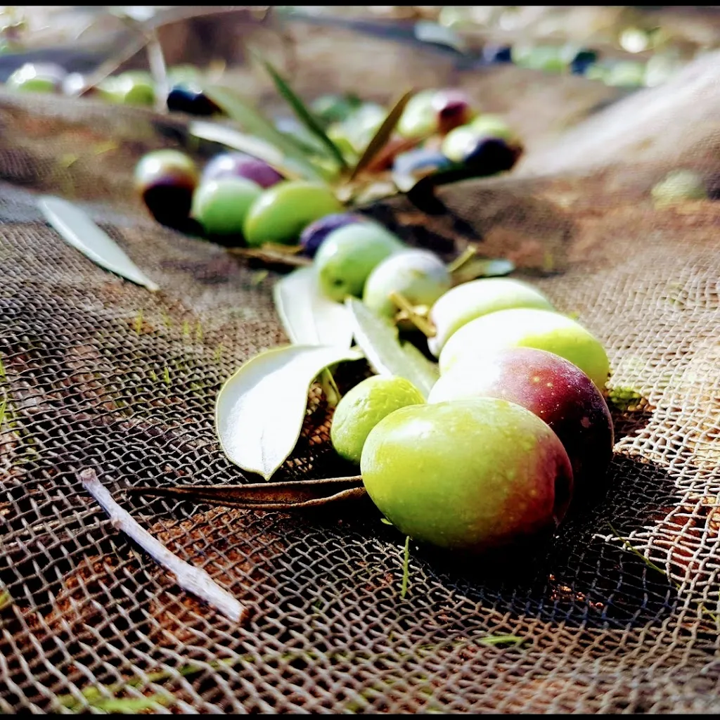 Menu_Azienda Agricola Contadino Di Galluzzo_Sambuca di Sicilia_image_7