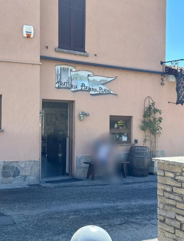 Trattoria Pizzeria Dei Platani_San Cono_slider_image_2