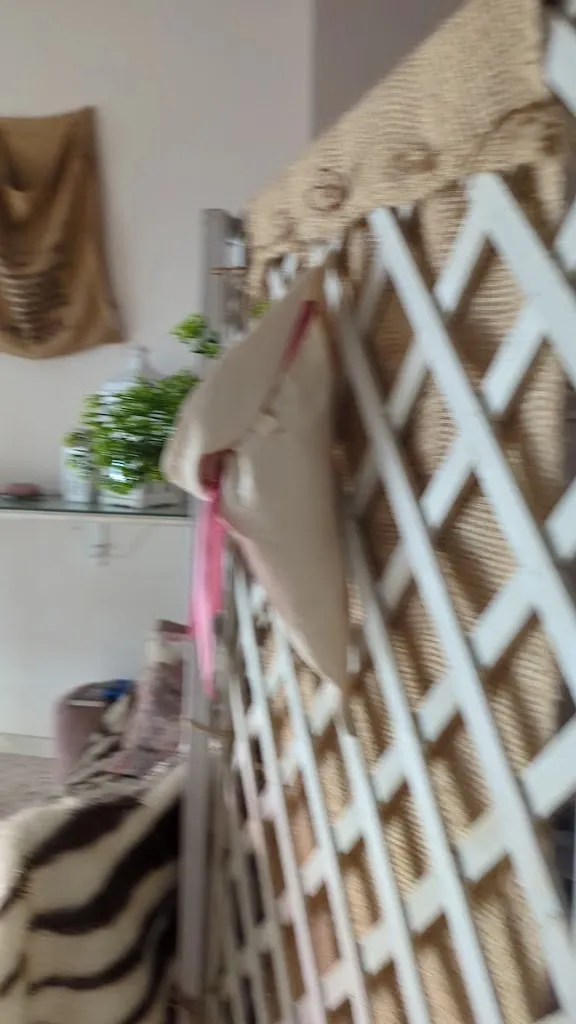 Darshan Gajara_Peperosa Cafè Bistrot_San Giovanni Gemini_review