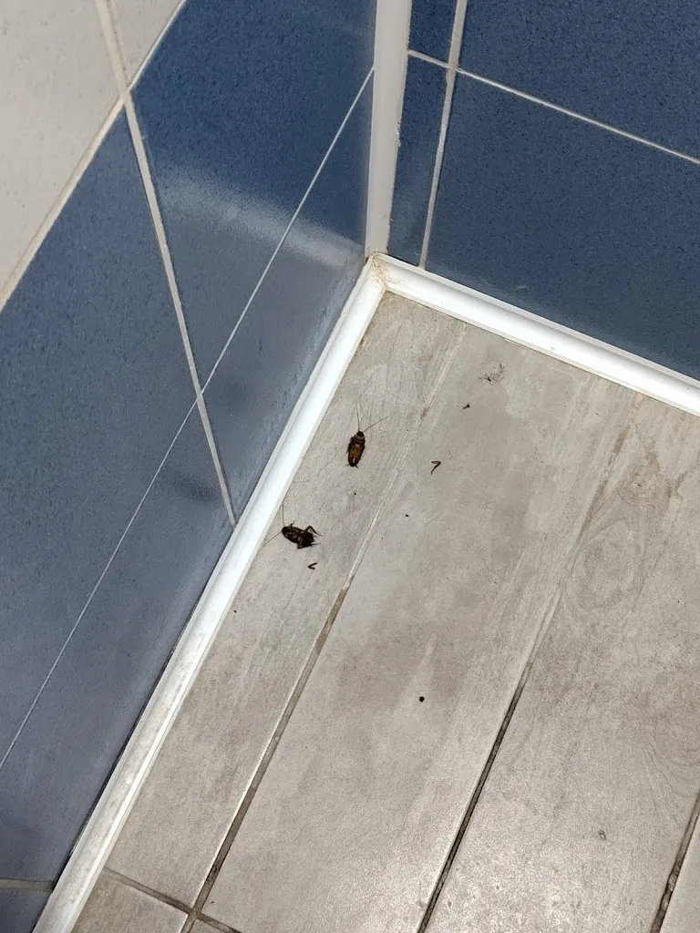 Francesco_Trattoria Portobello_San Leone Mosè_review