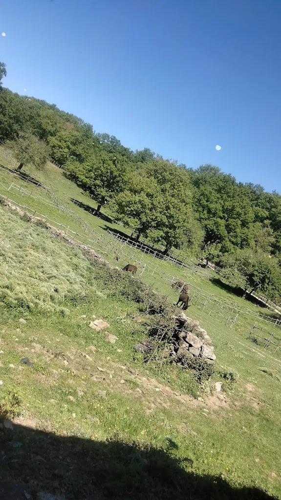 Giuseppe Vinci_AL PASSO DEI TRE_San Fratello_review