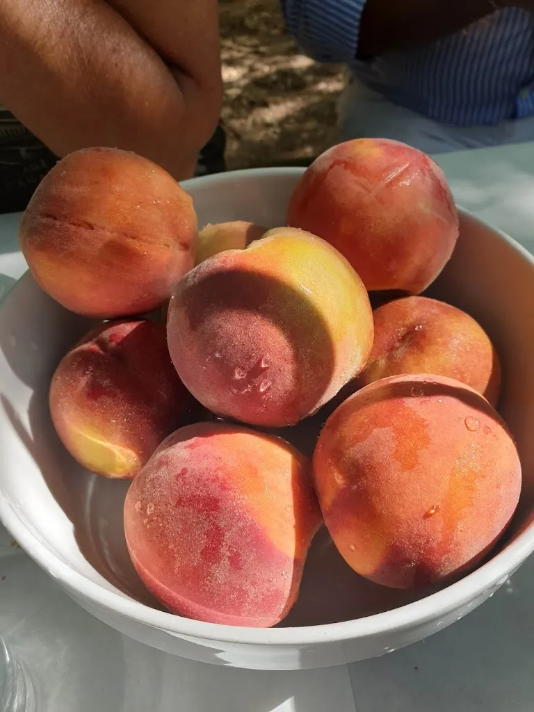 Menu_Ristoro Spazi Verdi_San Fratello_image_6