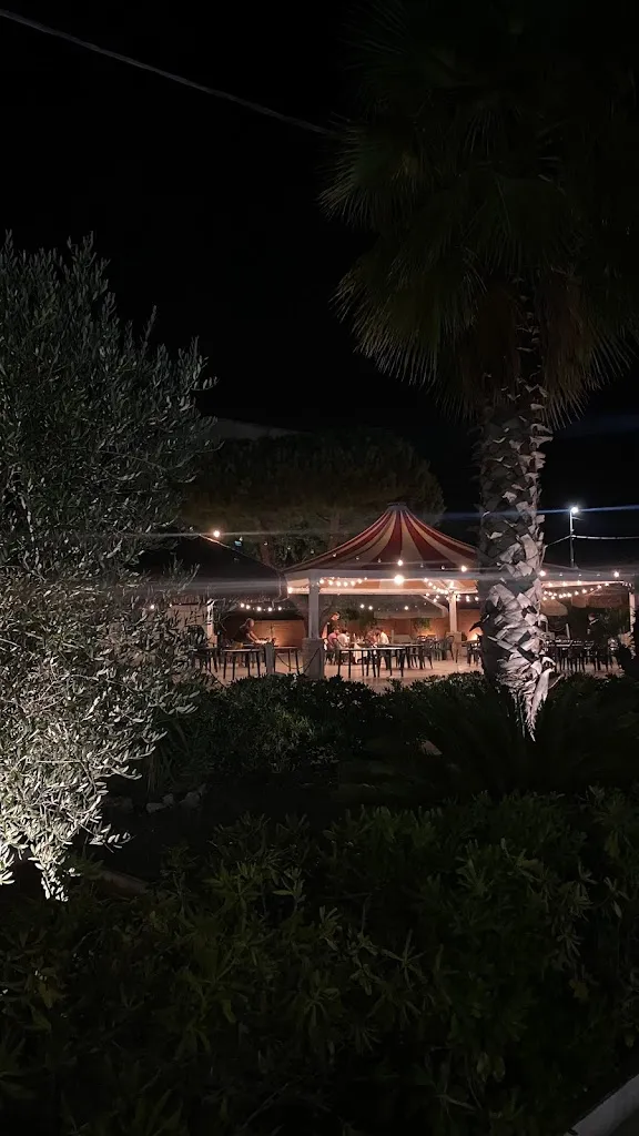 simo_CocoBrace Braceria_Lesina_review