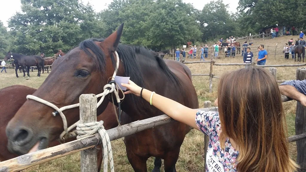 Il Cerro_San Fratello_slider_image_3