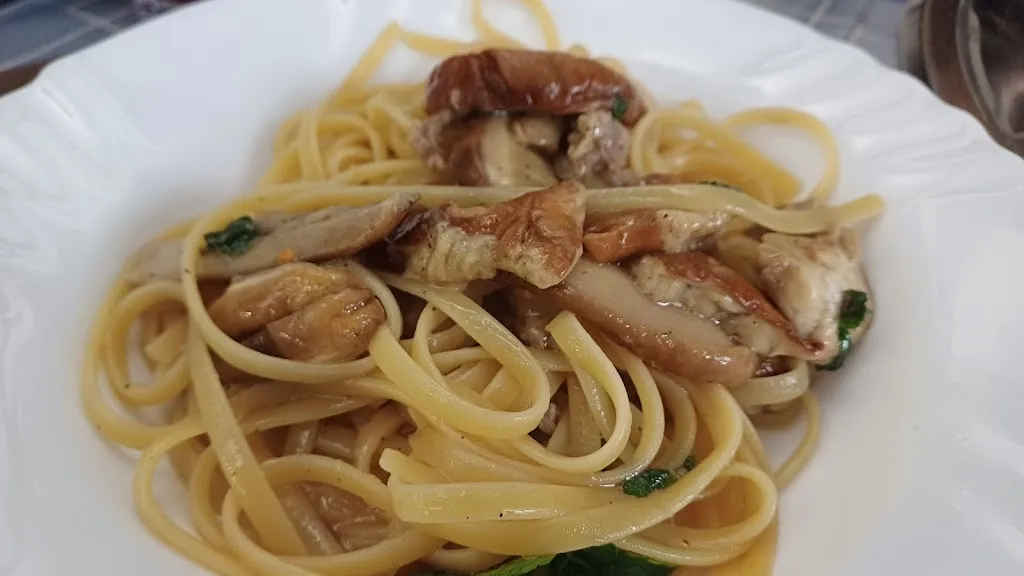 Doriana Ribaudo_Il gatto silvestro_San Mauro Castelverde_review