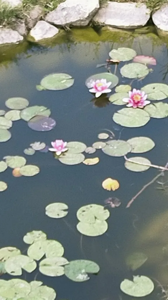 Angela Cosenza_Ristorante Il Daino_San Piero Patti_review