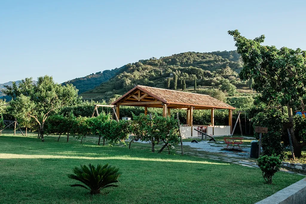 Citrus Valley Farm_San Pier Niceto_slider_image_3