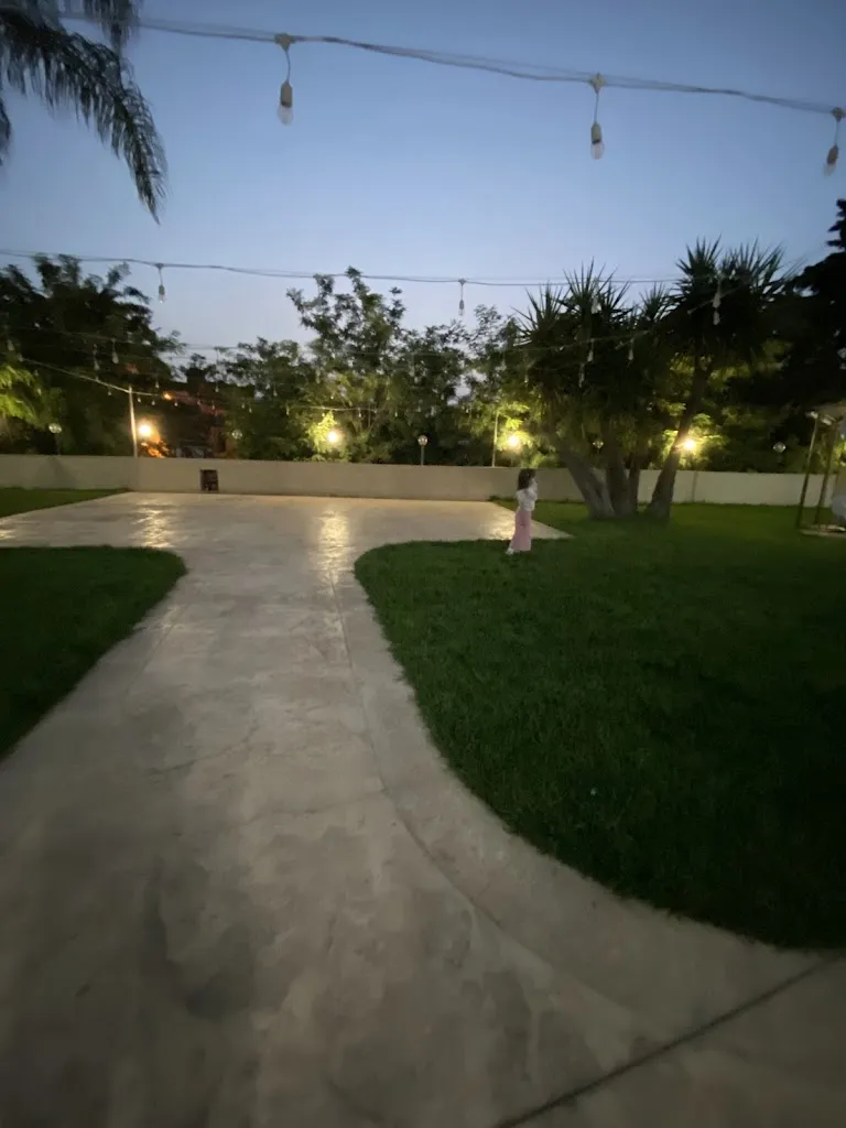 Vito Z_Tropical Village di Cristina Szilveszter_San Michele di Ganzaria_recensione