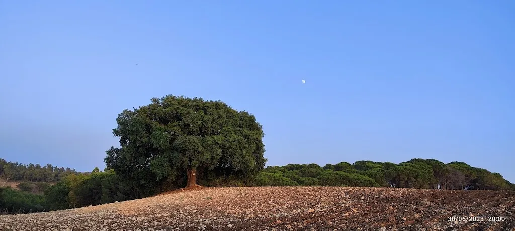 San michele di Ganzaria_San Michele di Ganzaria_slider_image_2