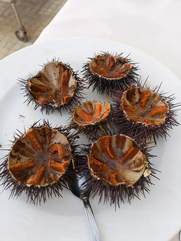 Ou C_Porto Adriano_San Cataldo_review