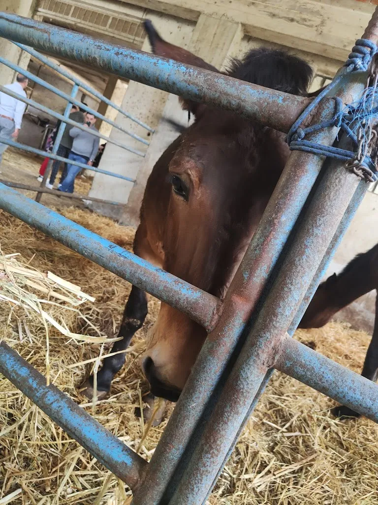 Federica M._Azienda Agrituristica La Quercia_Santa Lucia del Mela_review