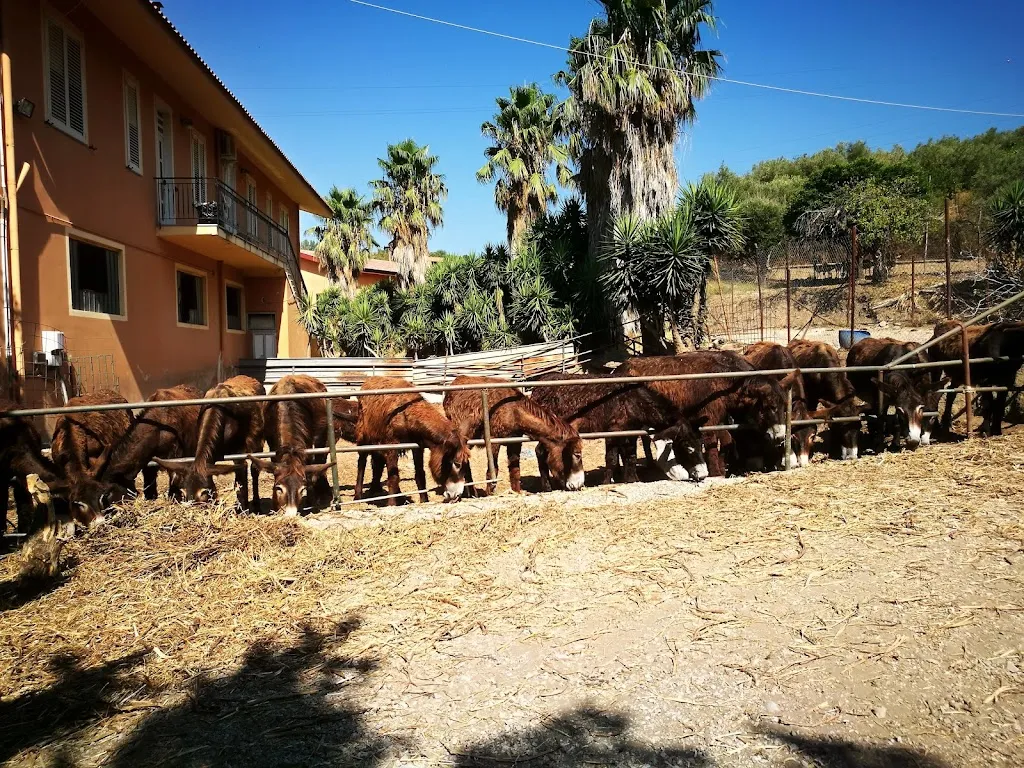 La Quercia restaurant in Santa Lucia del Mela