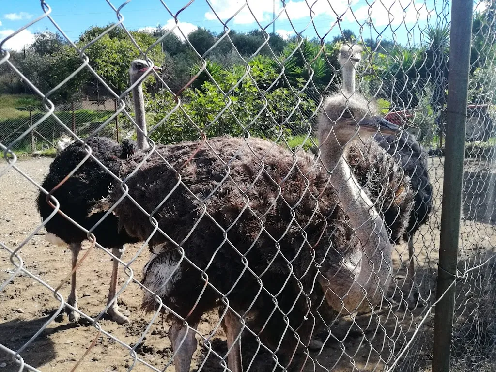 La Quercia_Santa Lucia del Mela_slider_image_3