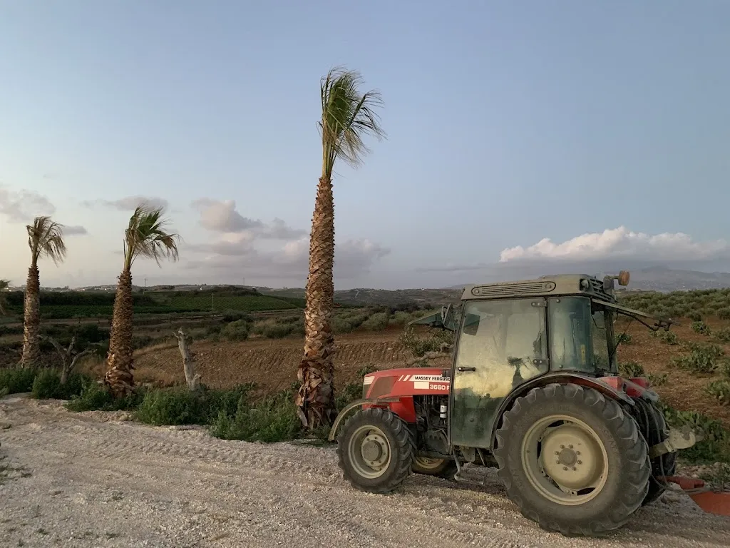 Diederik Gerbranda_Fusion - Pizzeria - Ristorante - Bistrò_Santa Margherita di Belice_review