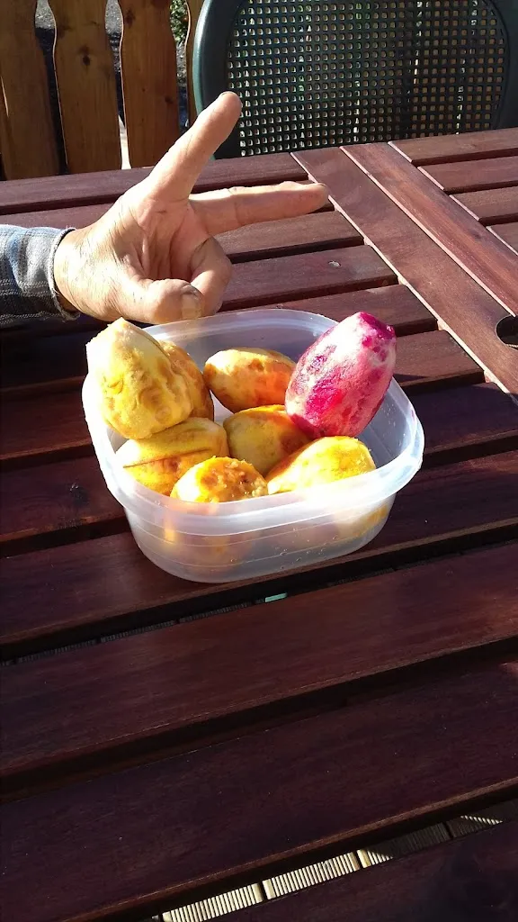 Il Sovrano_Santa Maria di Licodia_slider_image_1