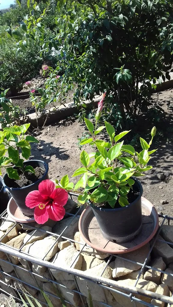 Il Sovrano_Santa Maria di Licodia_slider_image_2