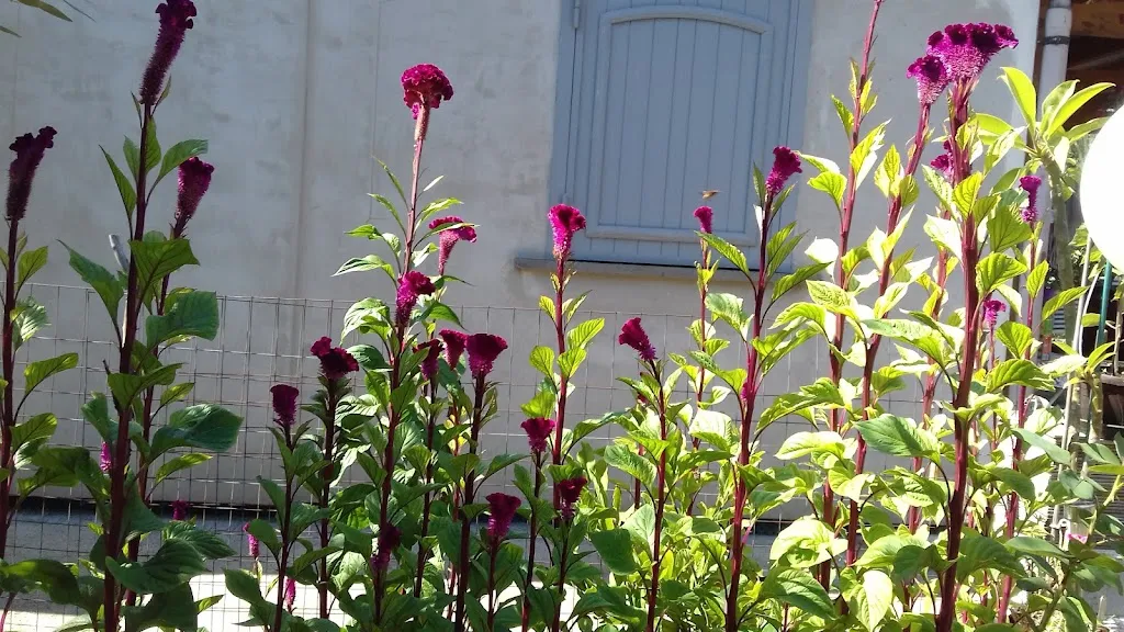 Il Sovrano_Santa Maria di Licodia_slider_image_3