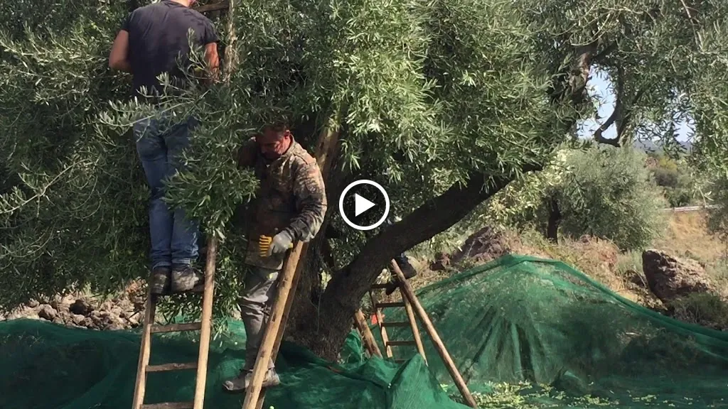 Turismo Rurale Fontana del Cherubino_Santa Maria di Licodia_slider_image_2
