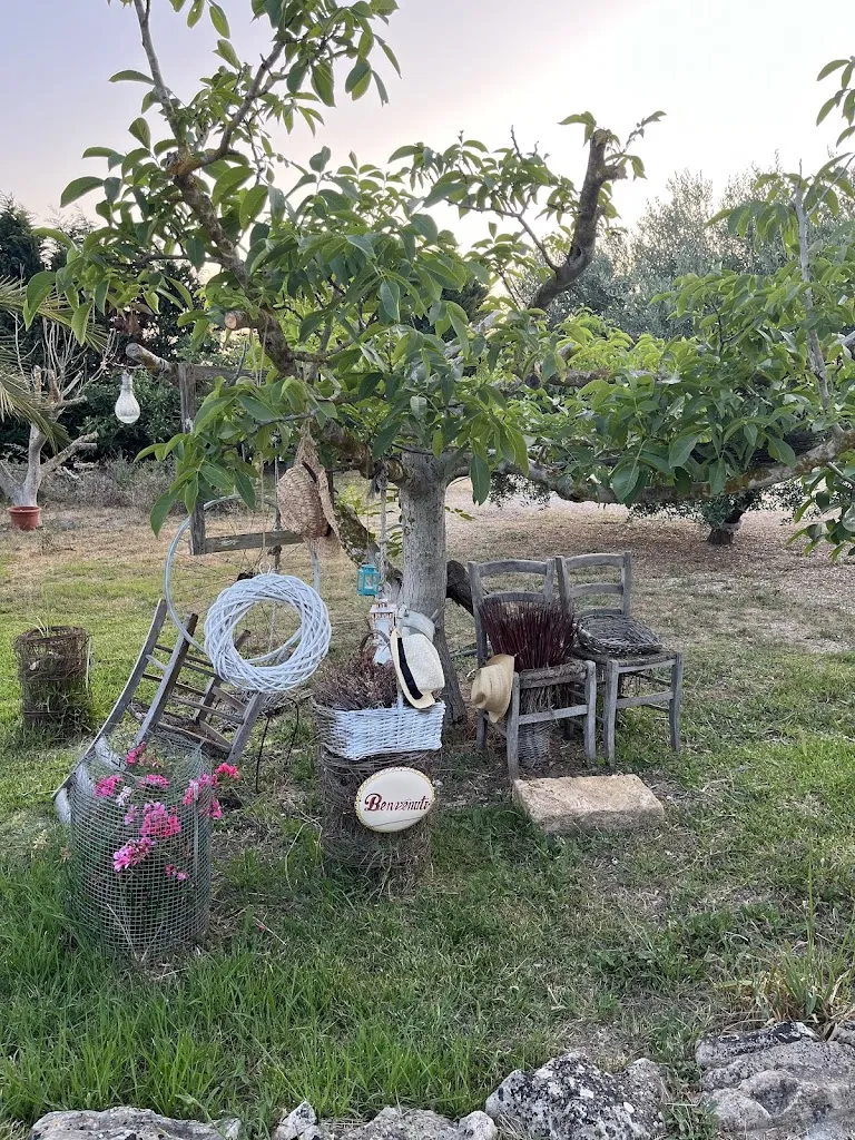 Katie Spears_Agriturismo Aromi e Sapori_Leverano_review