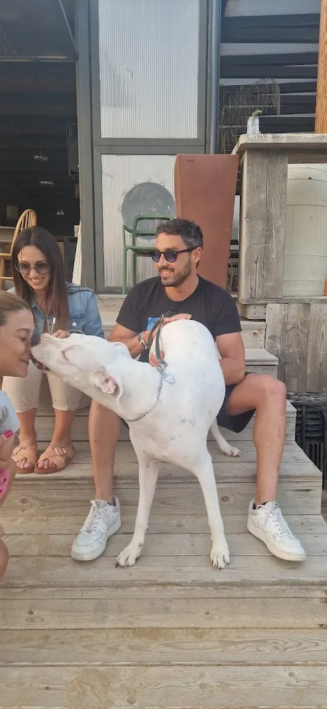 xDMTea_Piper Bathing establishment Torre di Mezzo_Santa Croce Camerina_review