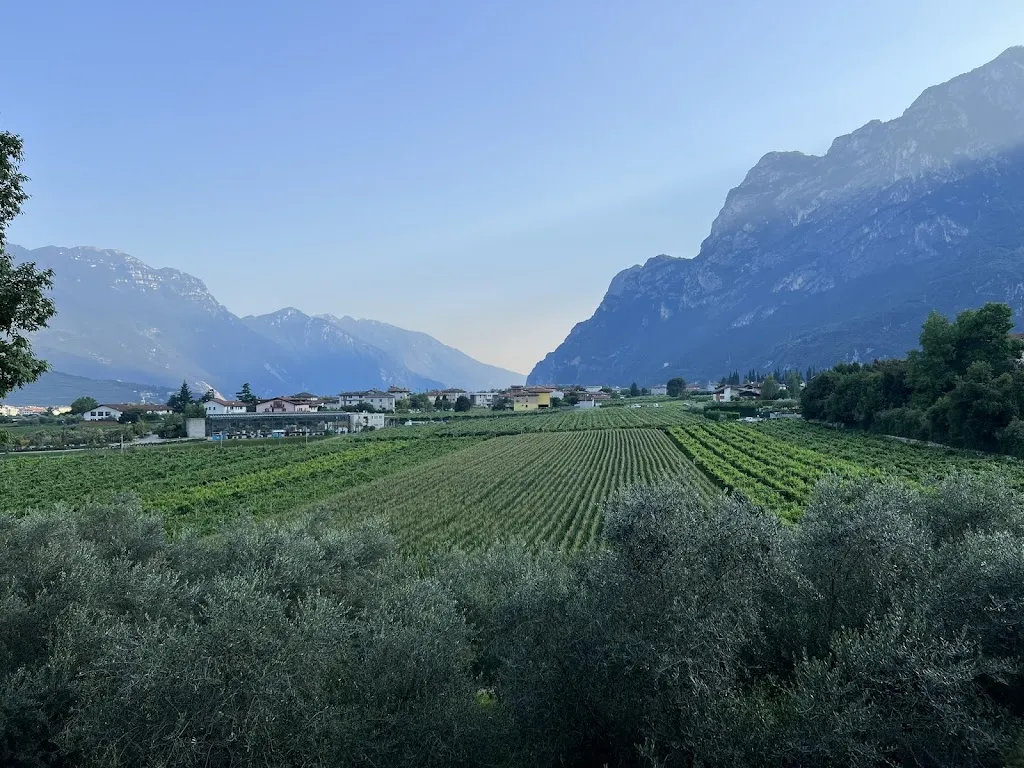 Axel R._Ristorante la Berlera_Santa Teresa di Riva_review