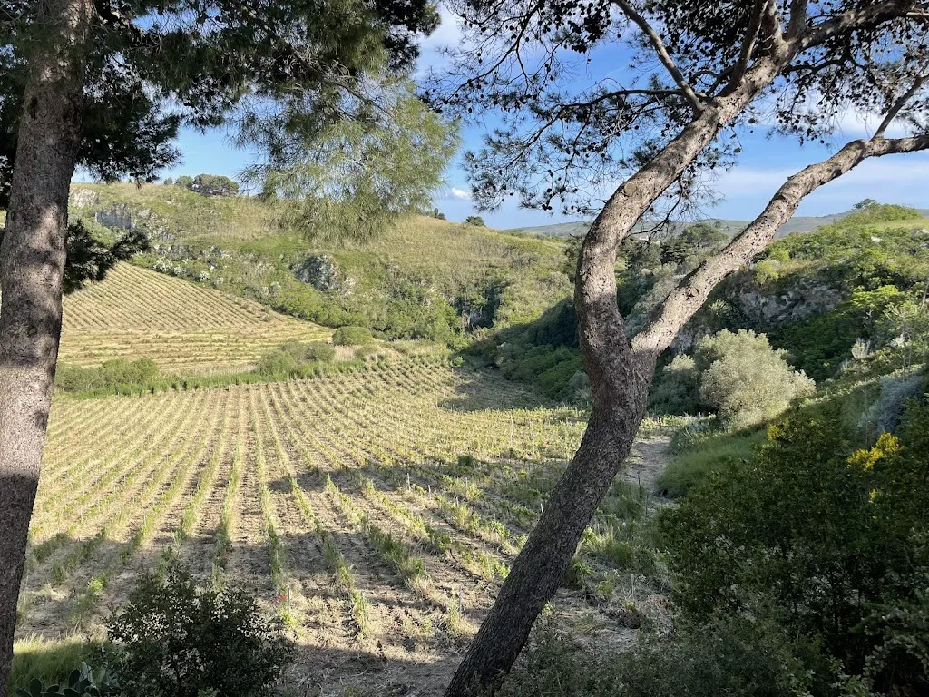 Alison Carson_Feudo del Biviere - Sicilian Country Retreat_Santa Ninfa_review