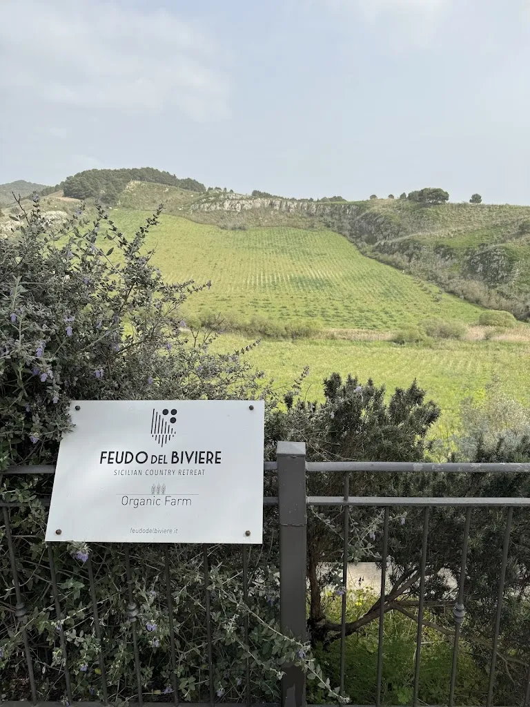Andrea La Venia_Feudo del Biviere - Sicilian Country Retreat_Santa Ninfa_review