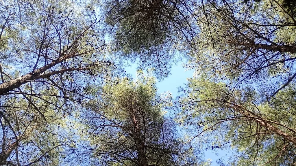 Daniele La Rosa_Parco Naturavventura Finestrelle_Santa Ninfa_review