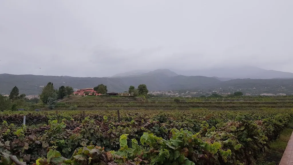 Patrick Magri_Cantine Murgo 1860 - Etna_Santa Venerina_review