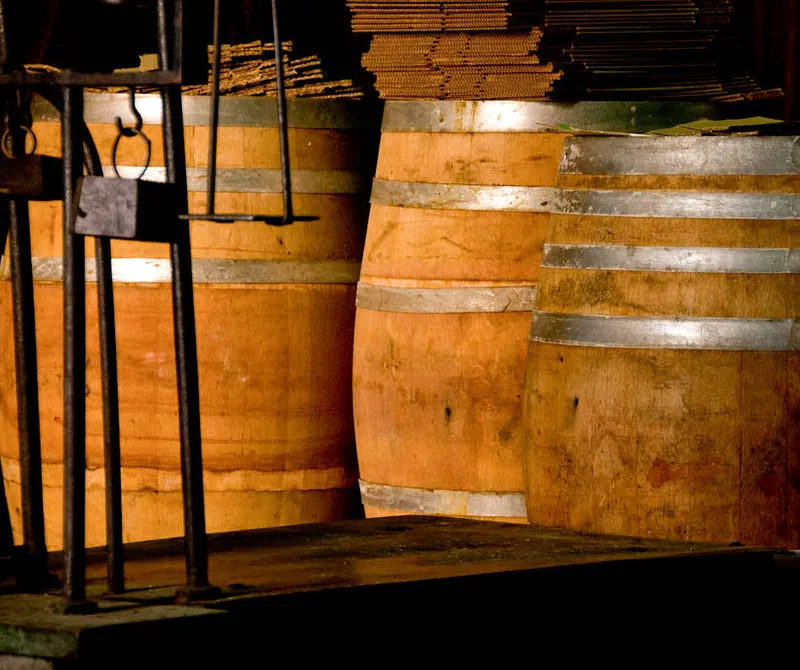 Cantine Murgo 1860 - Etna restaurant in Santa Venerina